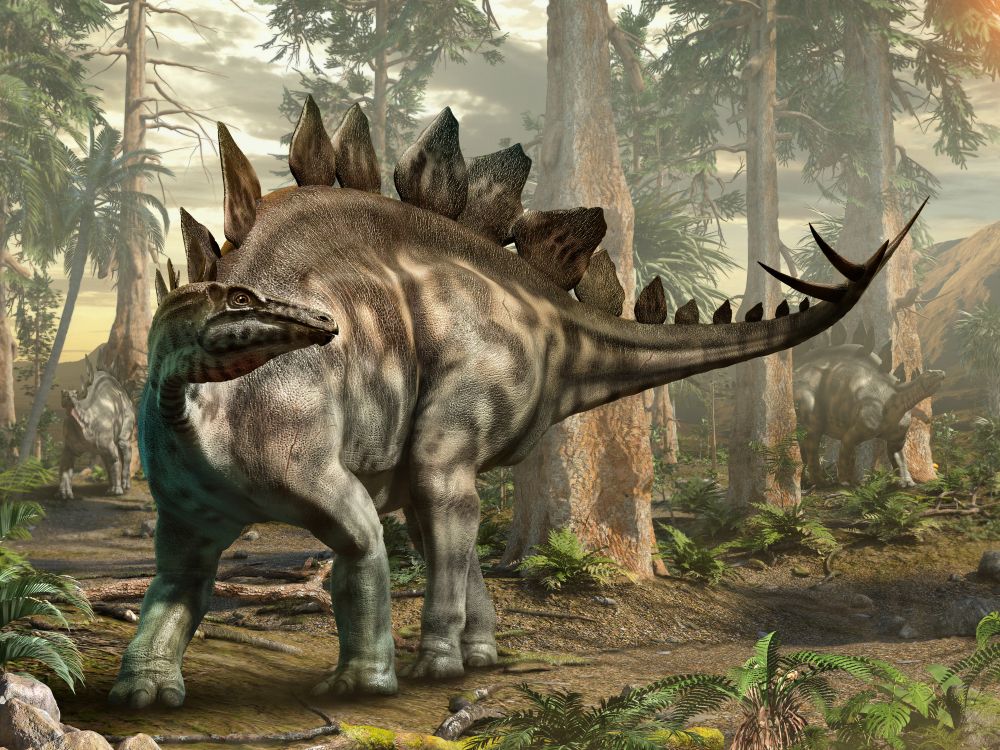 top-10-nejznamejsich-dinosauru-stegosaurus