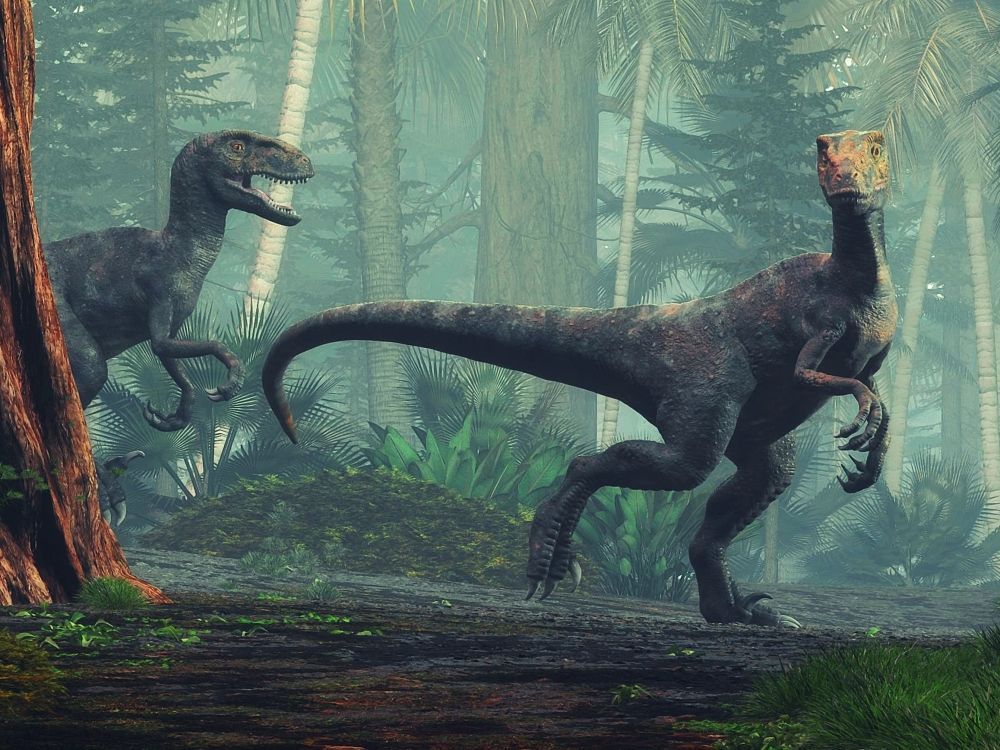 top-10-nejznamejsich-dinosauru-velociraptor