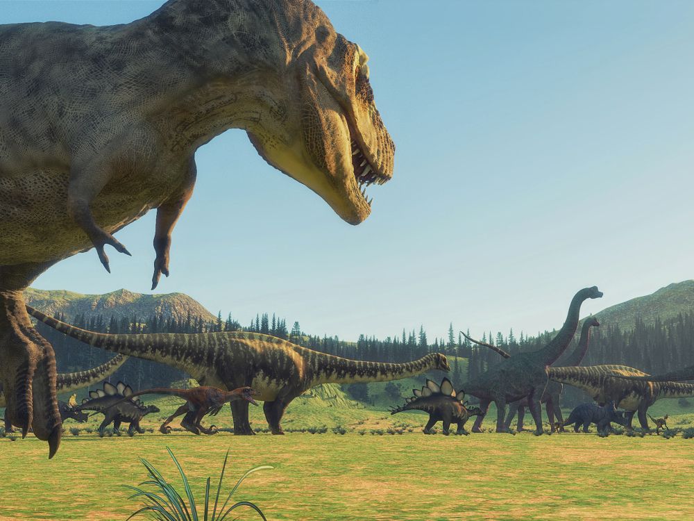 top-10-nejznamejsich-dinosauru