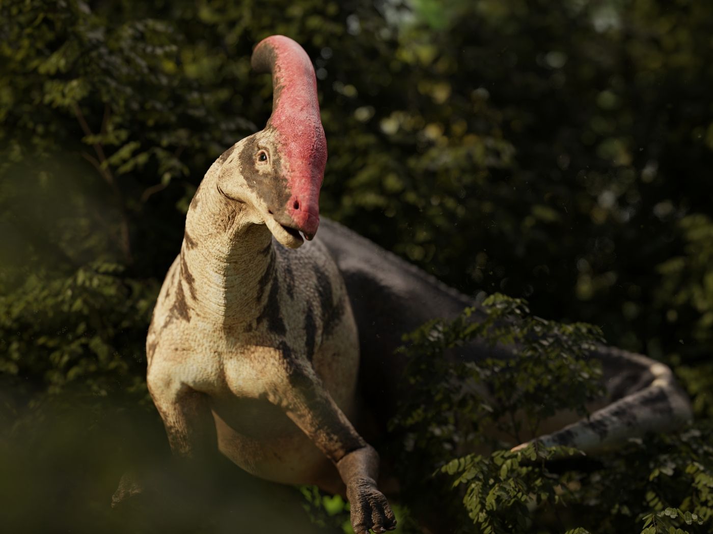Parasaurolophus dinosaurus s výrazným hřebenem na hlavě stojící v husté vegetaci.