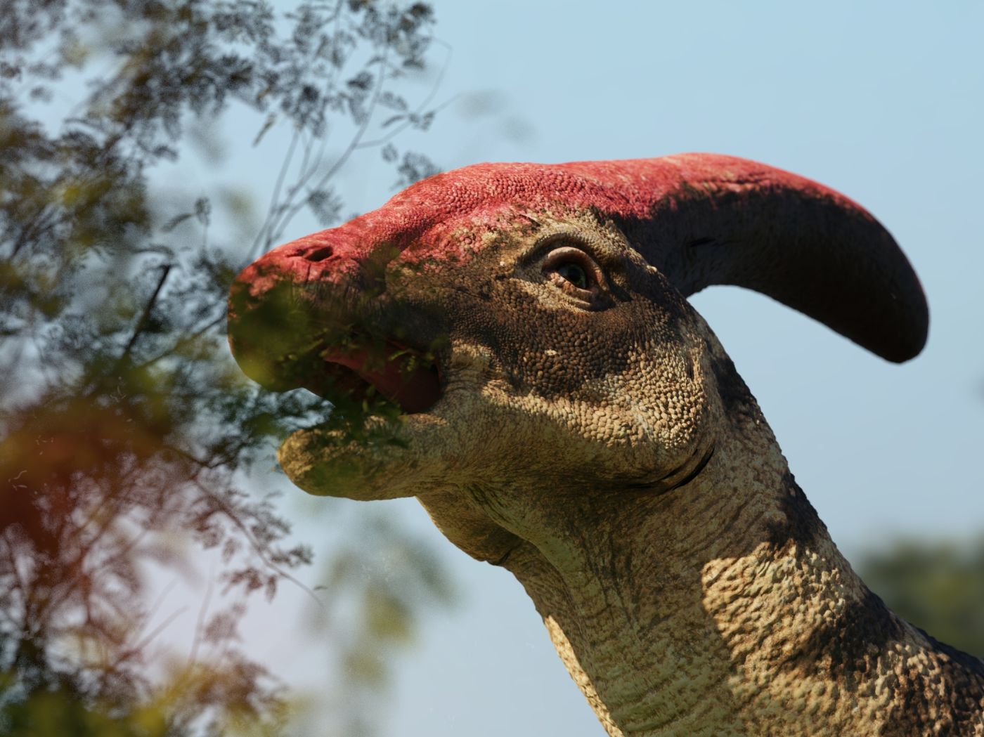 Detail hlavy dinosaura Parasaurolophus s trubicovitým hřebenem okusujícího vegetaci.