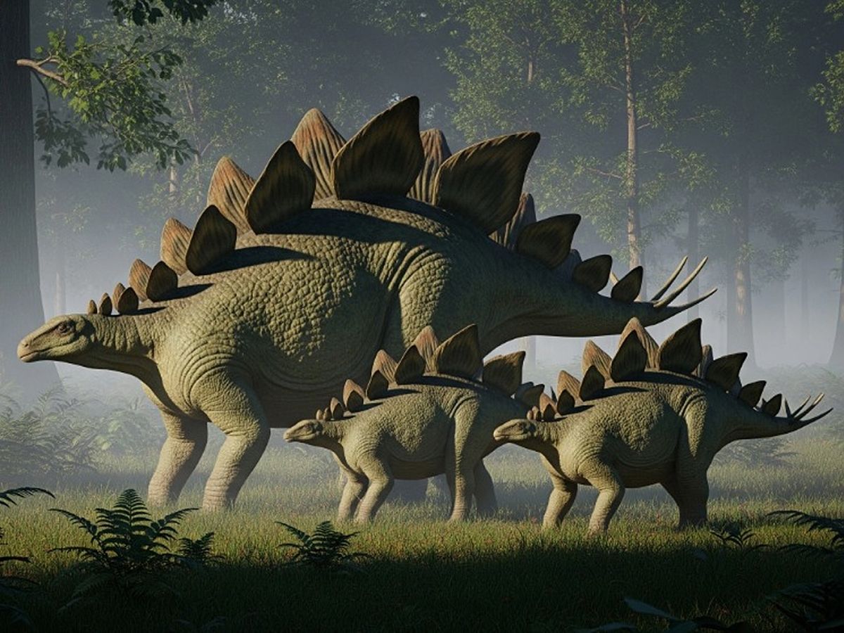Stegosaurus s mláďaty stojící v hustém lese, obrněný býložravý dinosaurus druhohor.