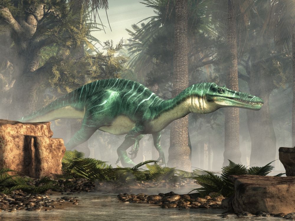 suchomimus-dinosaurus