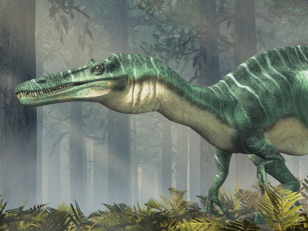 suchomimus-masozravy-dinosaurus