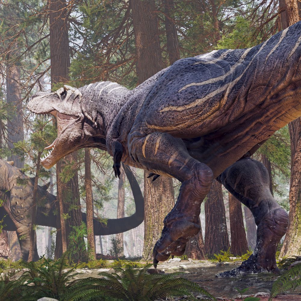tyrannosaurus-les-utok