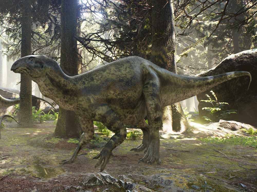 tenontosaurus-dinosaurus