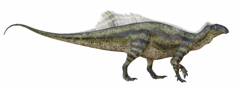 tenontosaurus-pohled-z-boku-dinosaurus