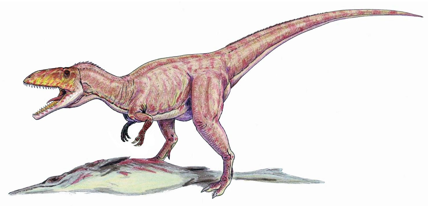 Rekonstrukce dravého dinosaura Eustreptospondylus, podobného moravské tetanuře.