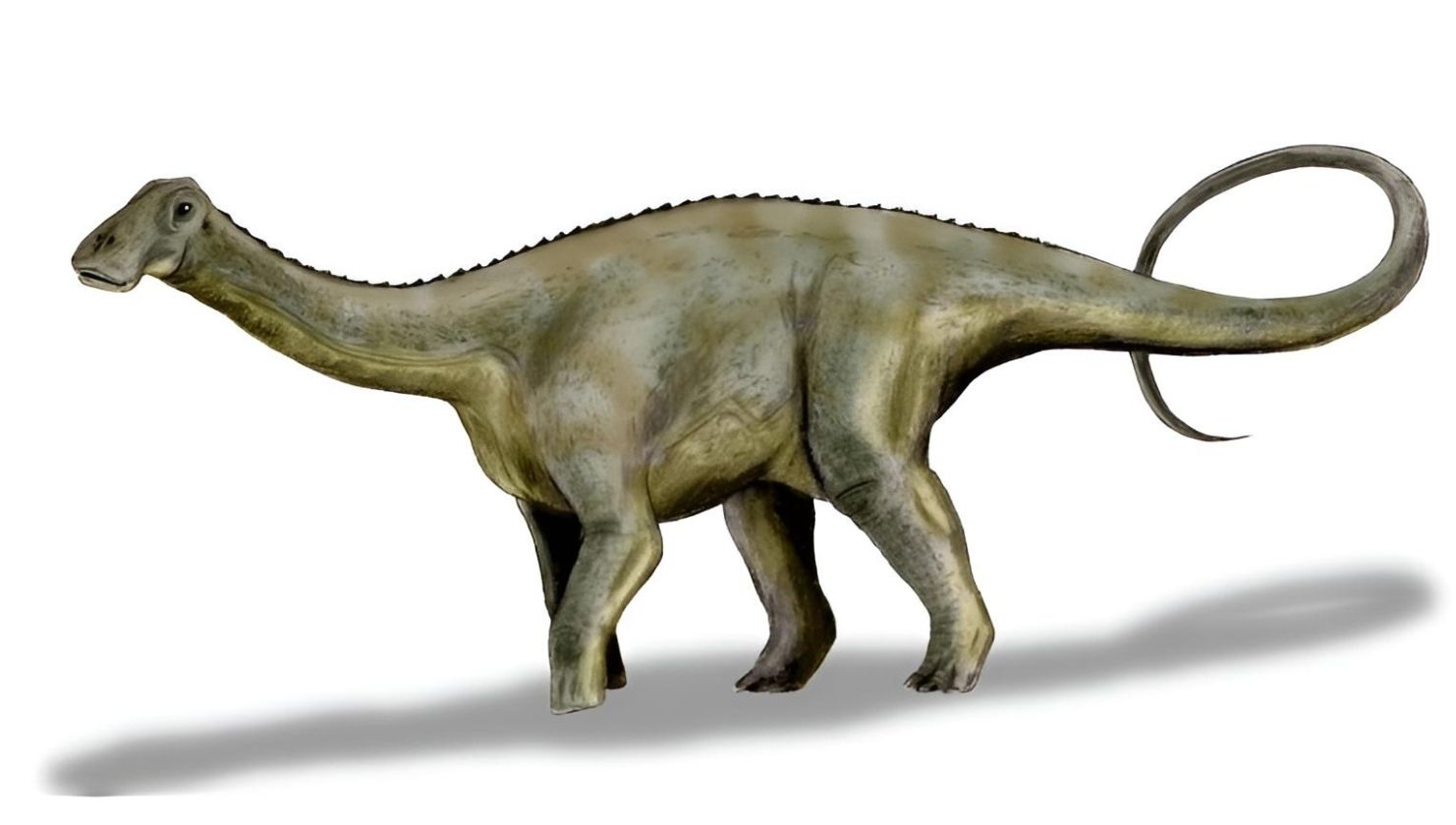 Pravěký býložravec Nigersaurus se 500 zuby