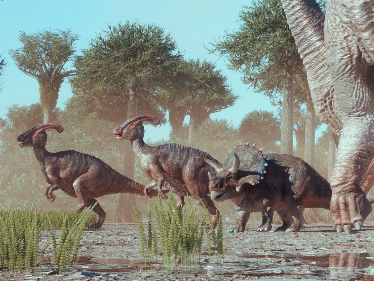 Skupina býložravých dinosaurů.