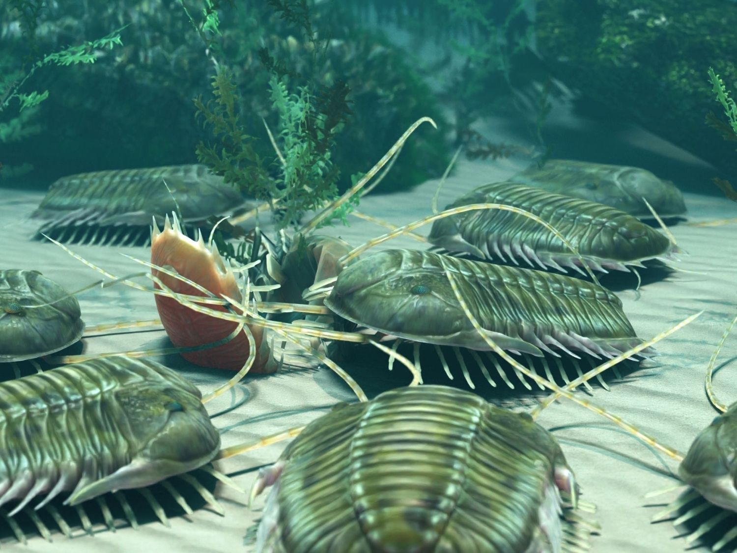 Pravěcí trilobiti se pohybují po písečném dně moře v detailní paleontologické ilustraci.