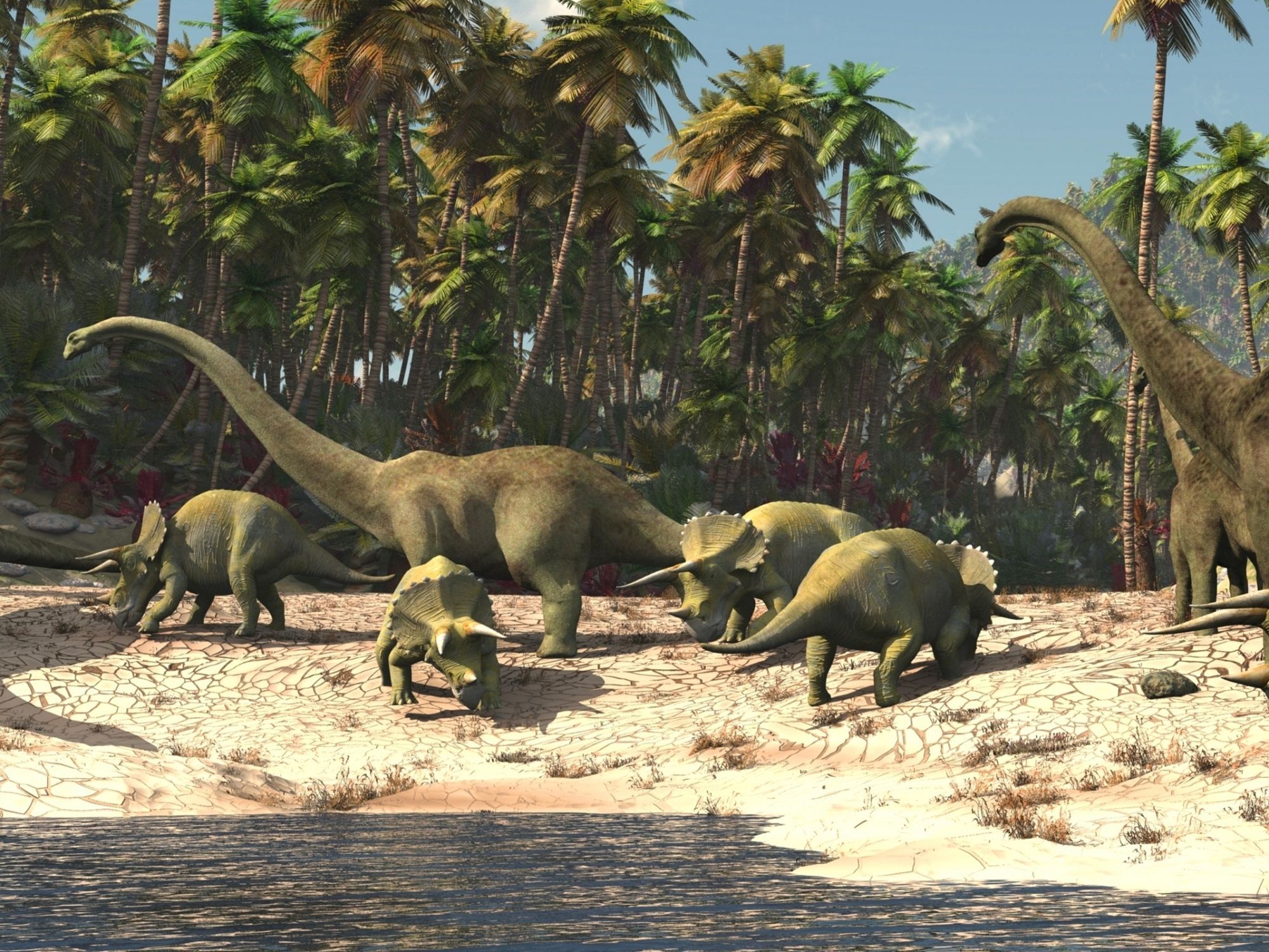Skupina dlouhokrkých dinosaurů a triceratopsů u napajedla v hustém pralese.
