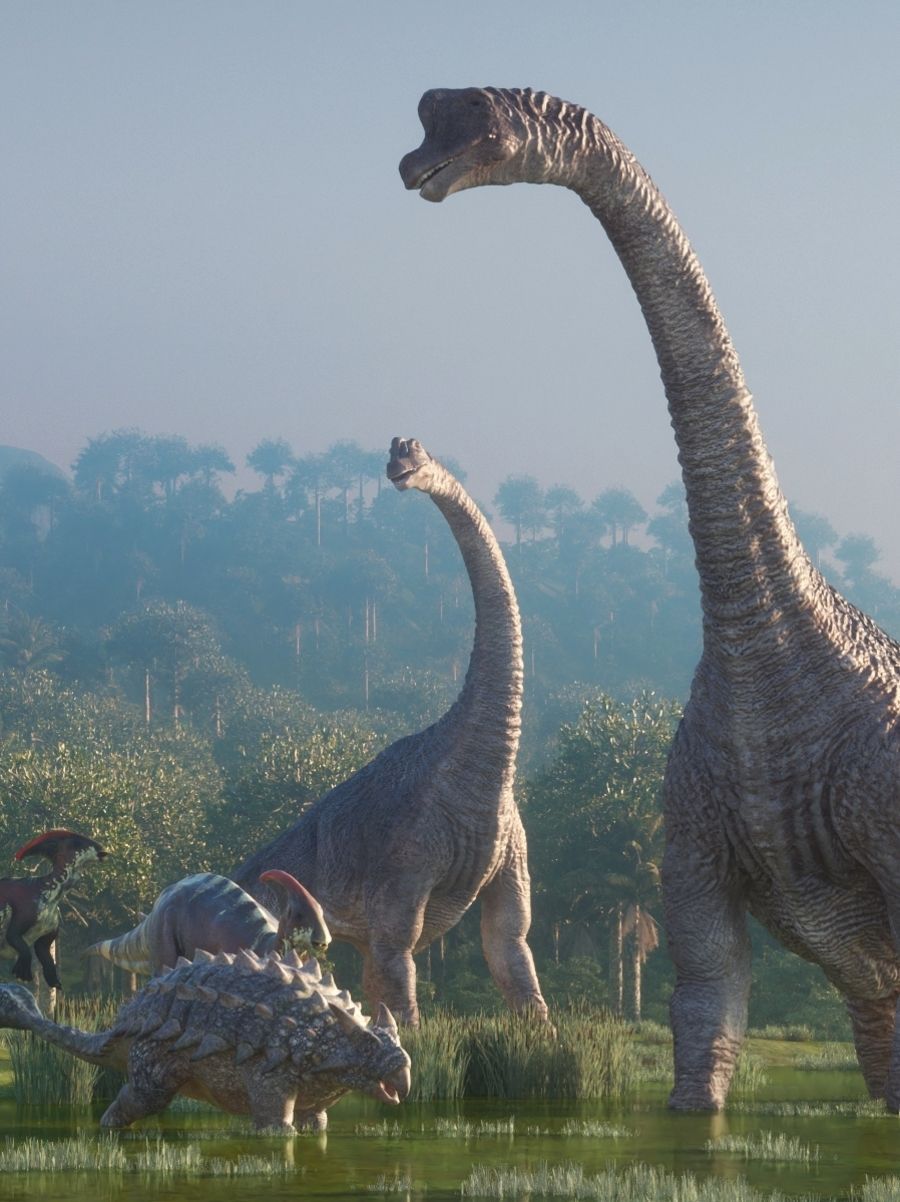 Pravěká krajina s velkými a malými dinosaury.