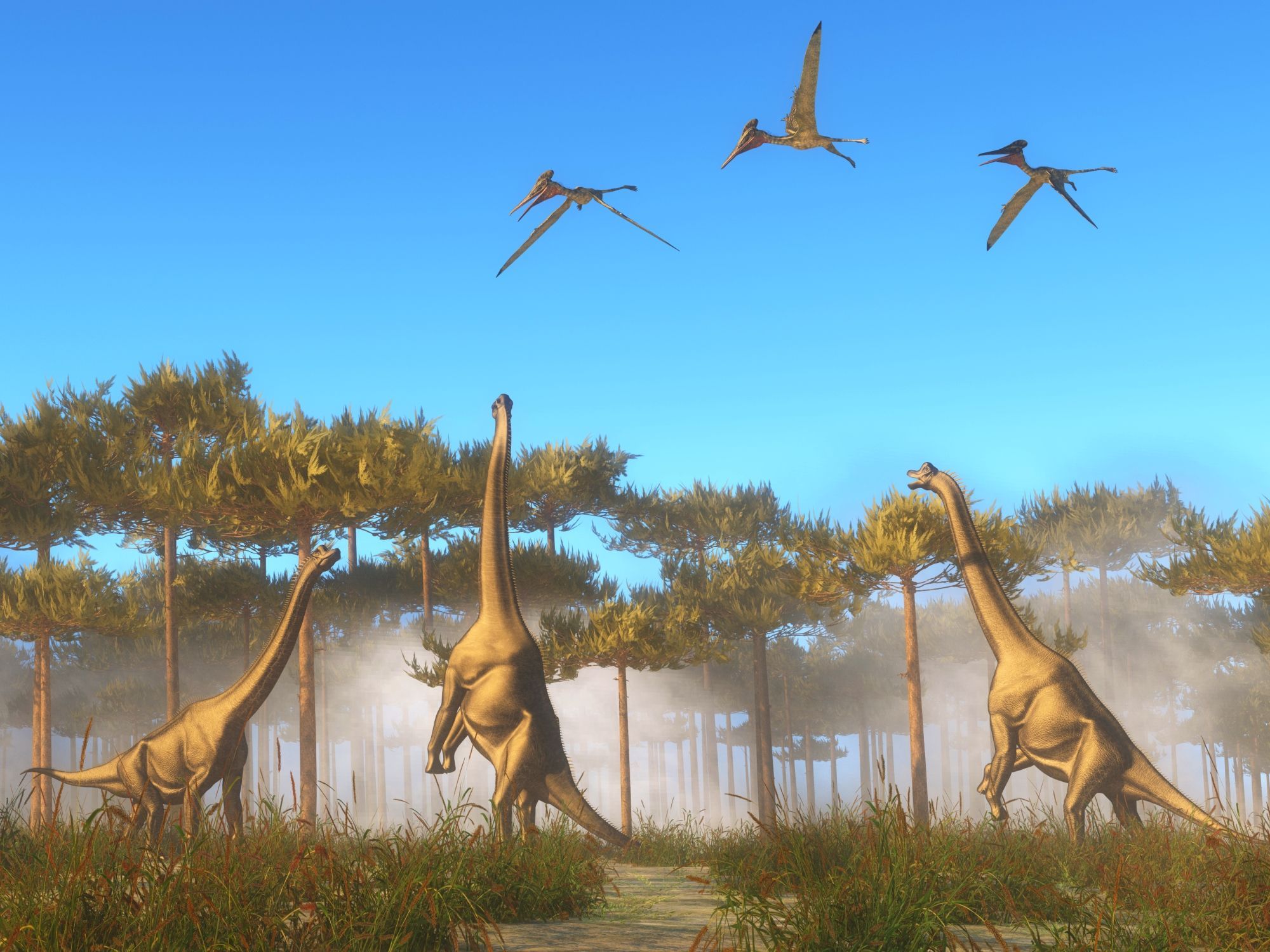 Býložraví dinosauři se krmí na listech vysokých stromů v pravěké krajině.