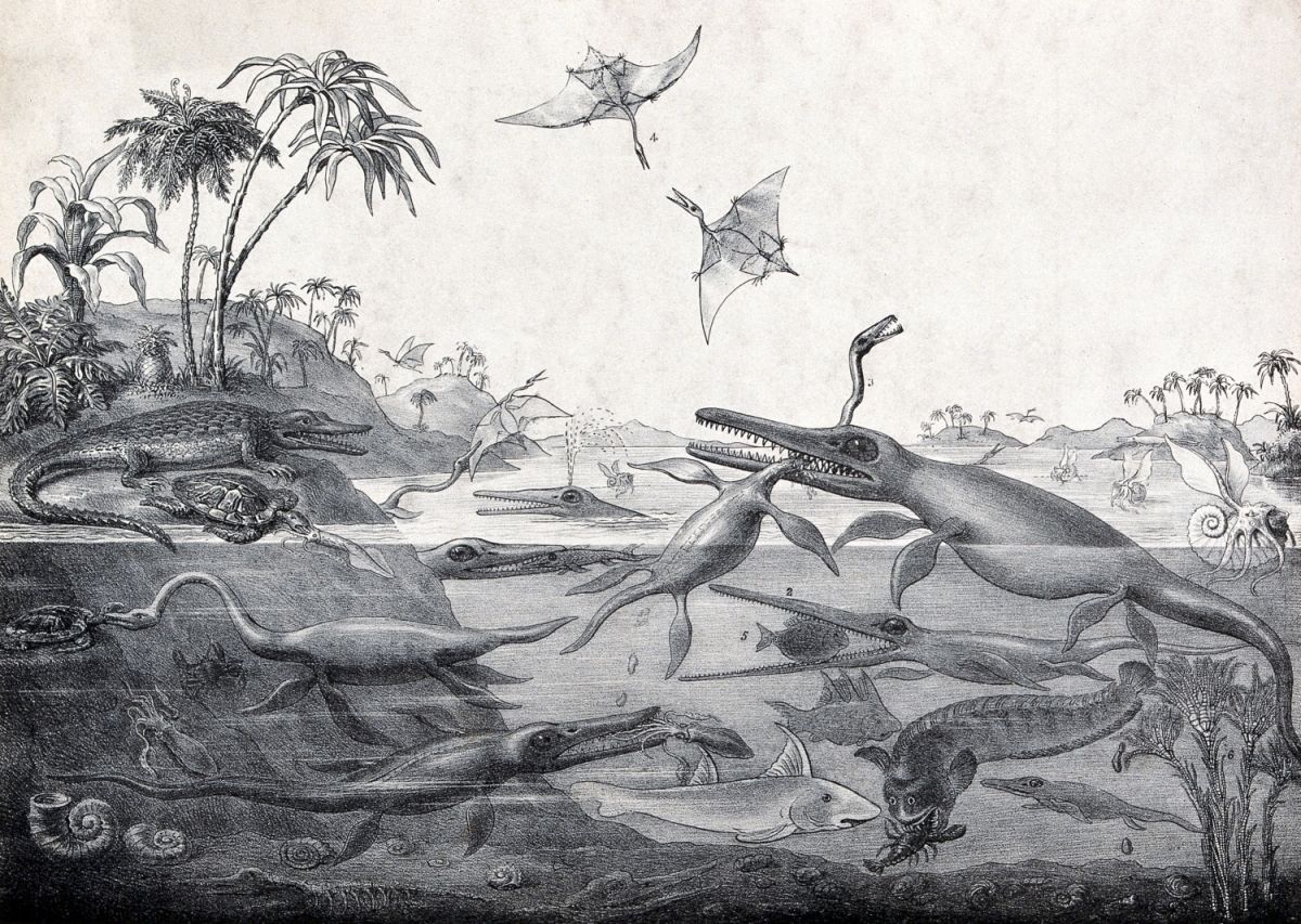 duria-antiquior-litografie