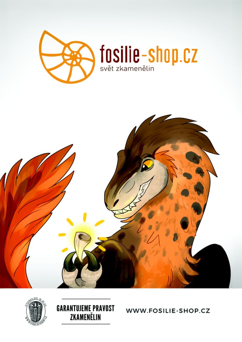 fosilie-shop-reklama