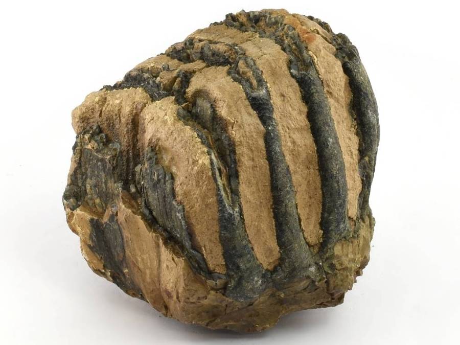mamut-stolicka-madarsko