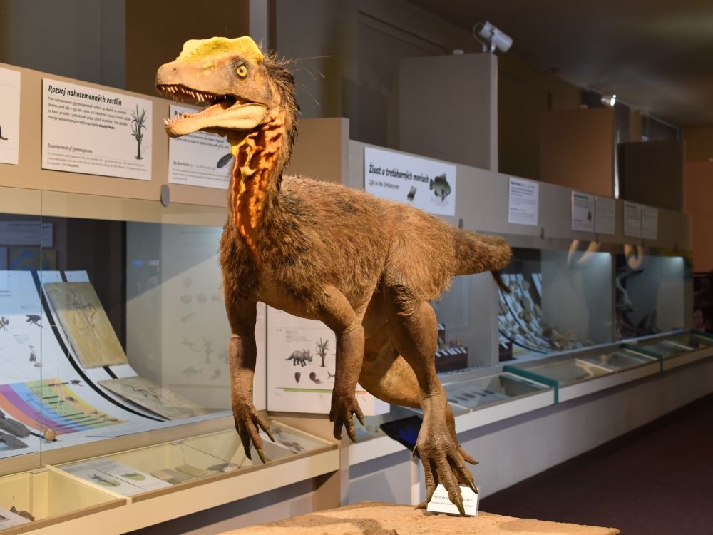 dinosaurus-muzeum-bratislava
