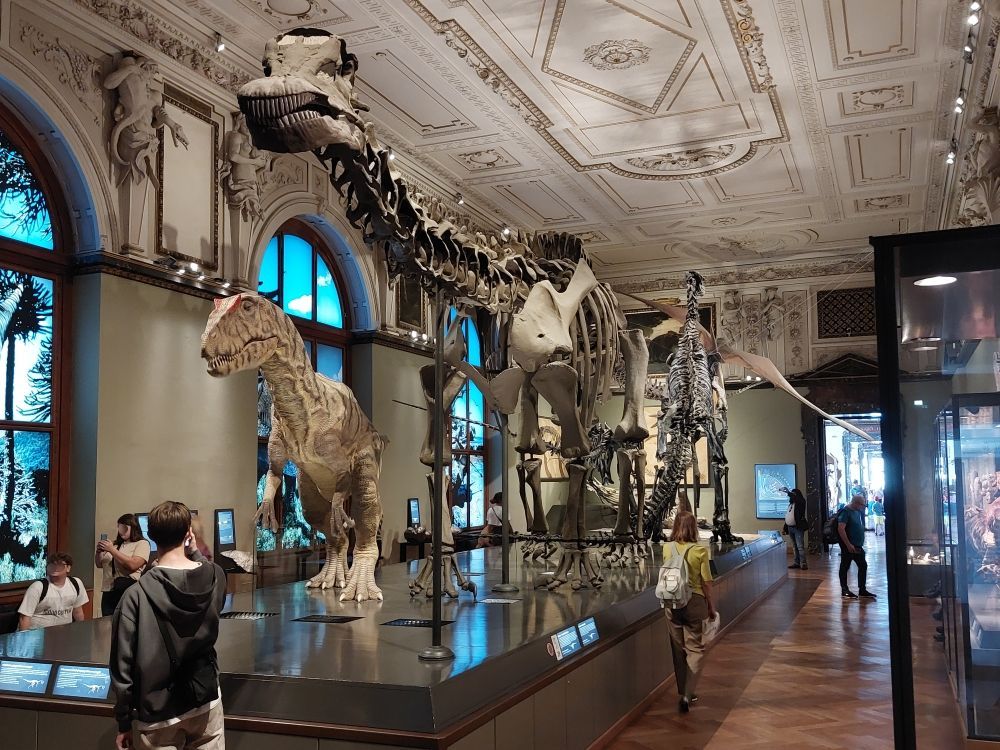 dinosauri-muzeum-viden-zkameneliny