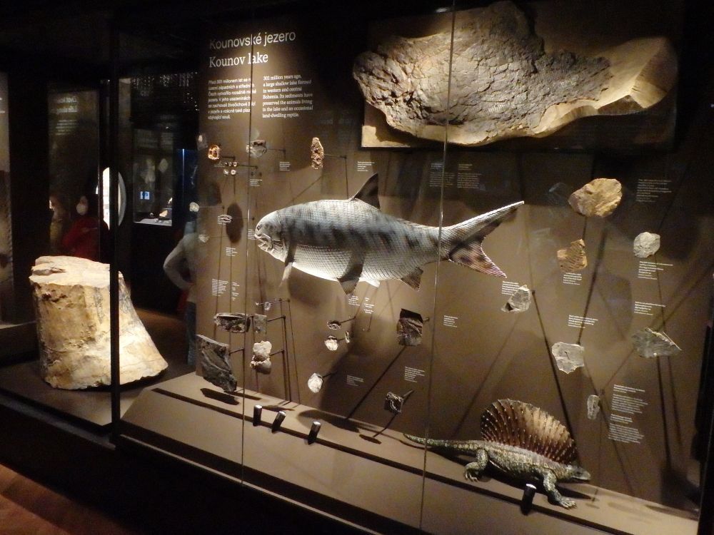 kounovske-jezero-muzeum-praha