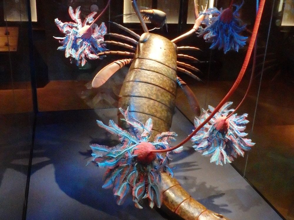 kyjonozec-lilijice-muzeum-praha