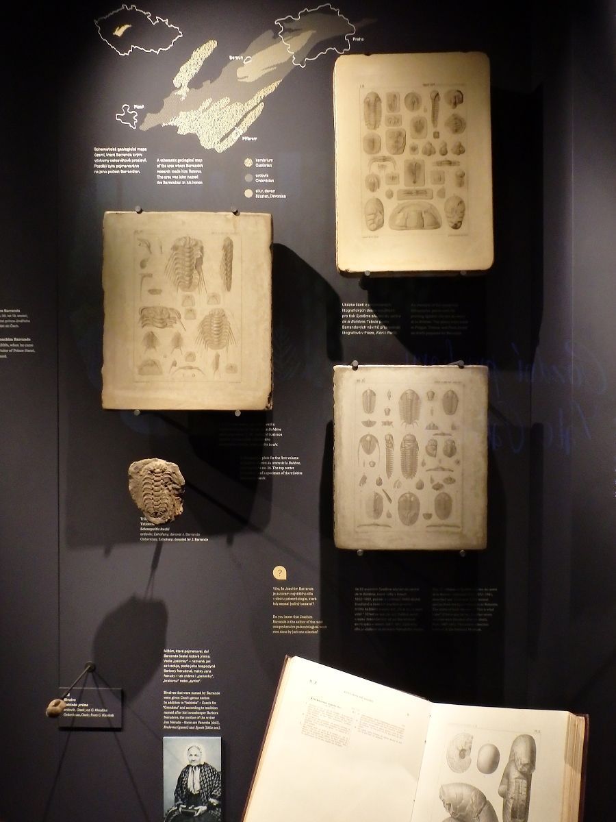 litografie-joachim-barrande-muzem-praha