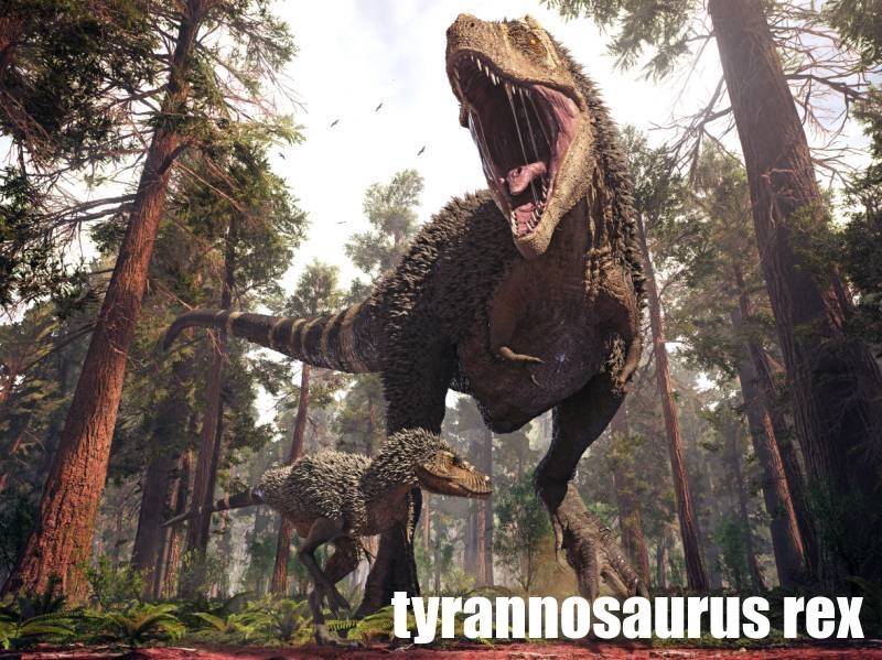 tyrannosaurus-atlas-dinosauru