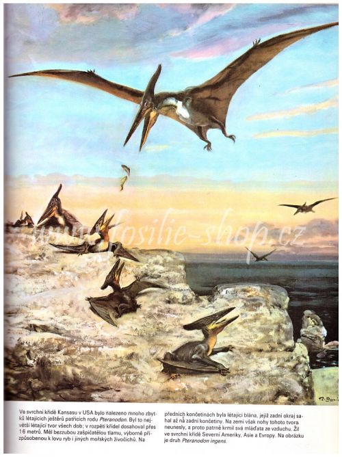 Kniha o pravěku - pteranodon