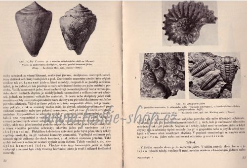 uvod-do-vseobecne-paleontologie-augusta-remes-1str