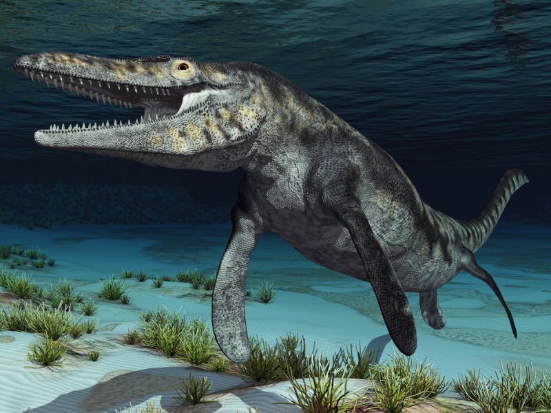 mosasaurus
