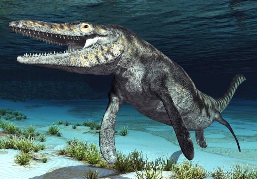 mosasaurus pravěký plaz