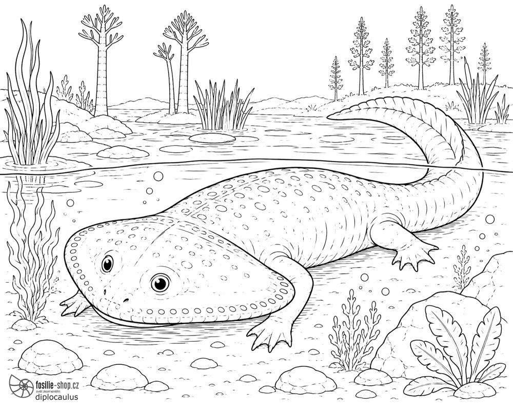 diplocaulus-omalovanka-zdarma
