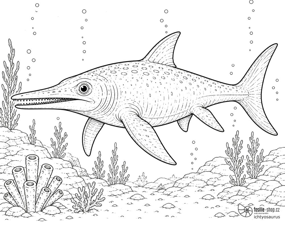 ichtyosaurus-omalovanka