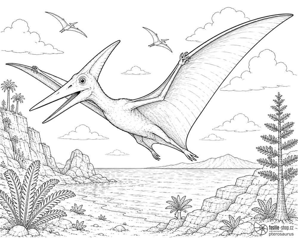 pterosaurus-omalovanka