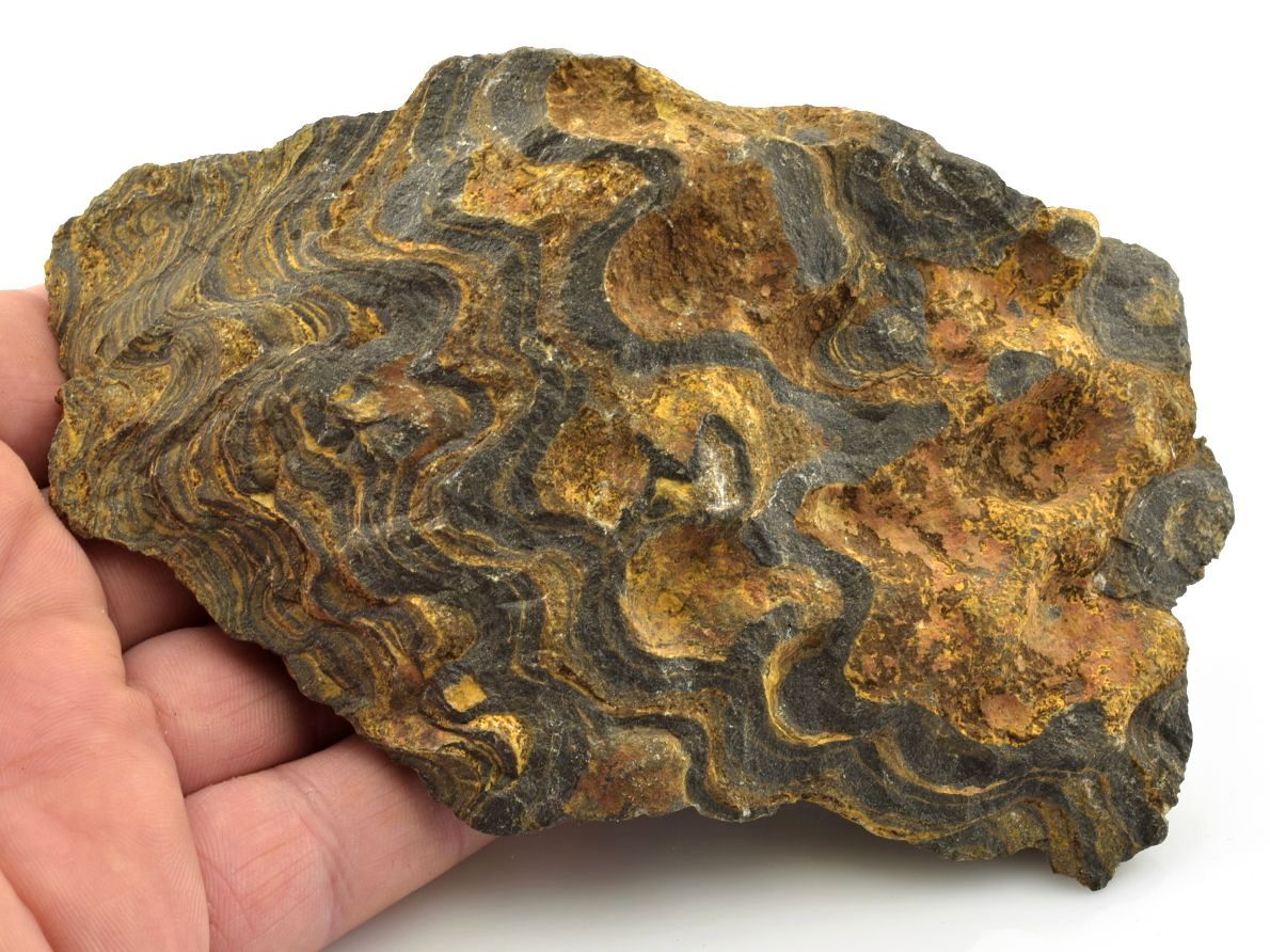 Stromatolity z Peru