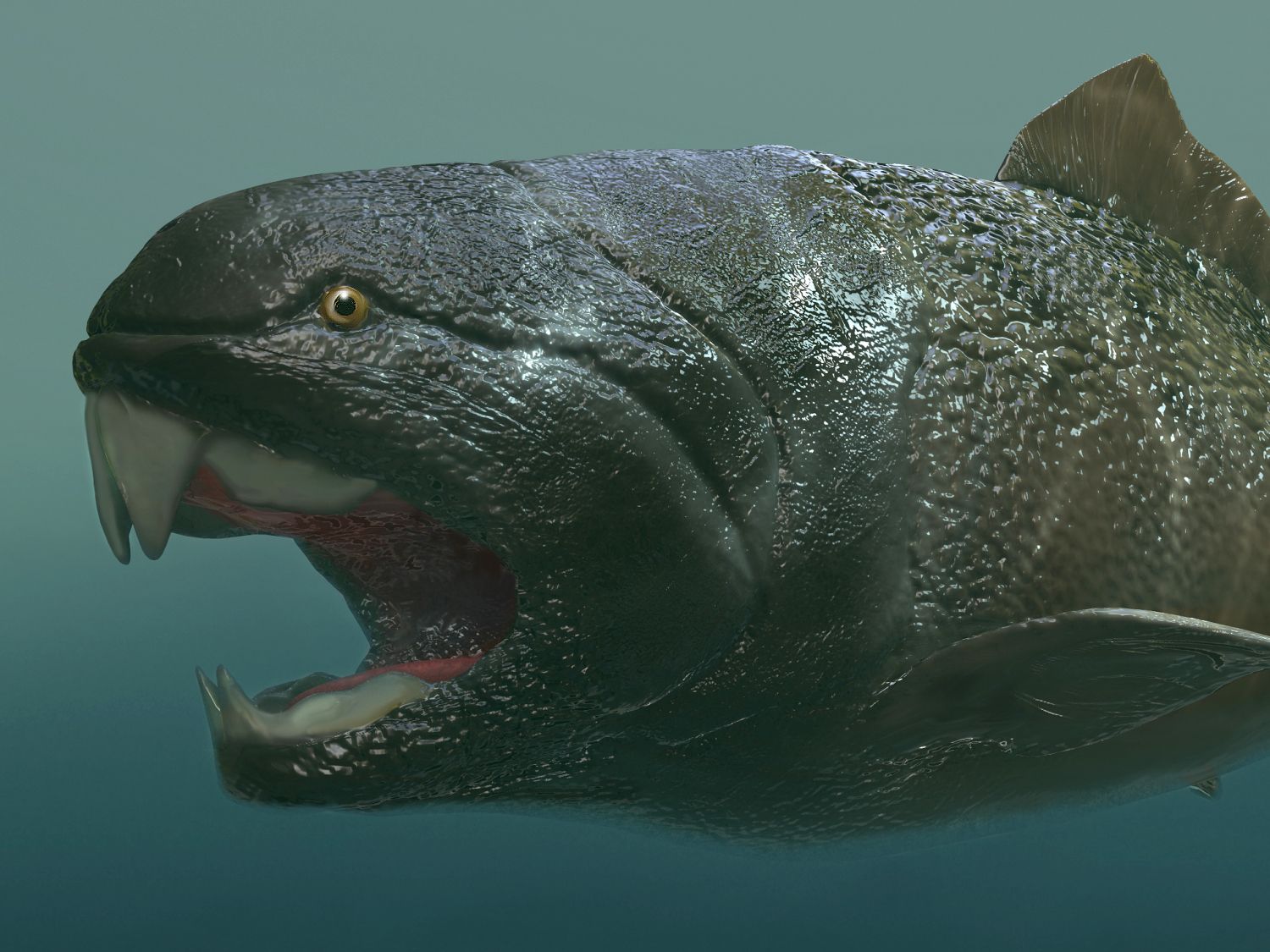 Dunkleosteus, jeden z největších a nejnebezpečnějších dravců devonských moří.