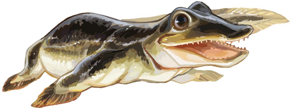 Devon – Parmastega aelidae, živočich podobný malému krokodýlu s primitivními končetinami.