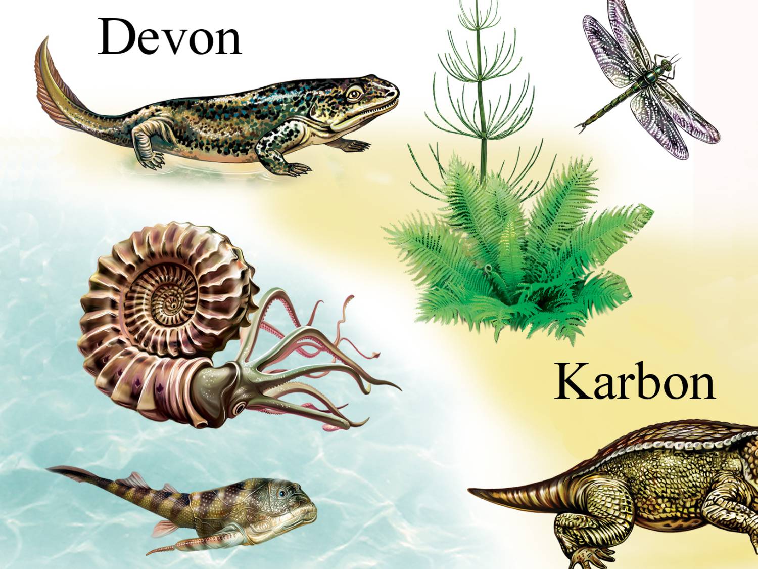 Po devonu nastupuje Karbon.