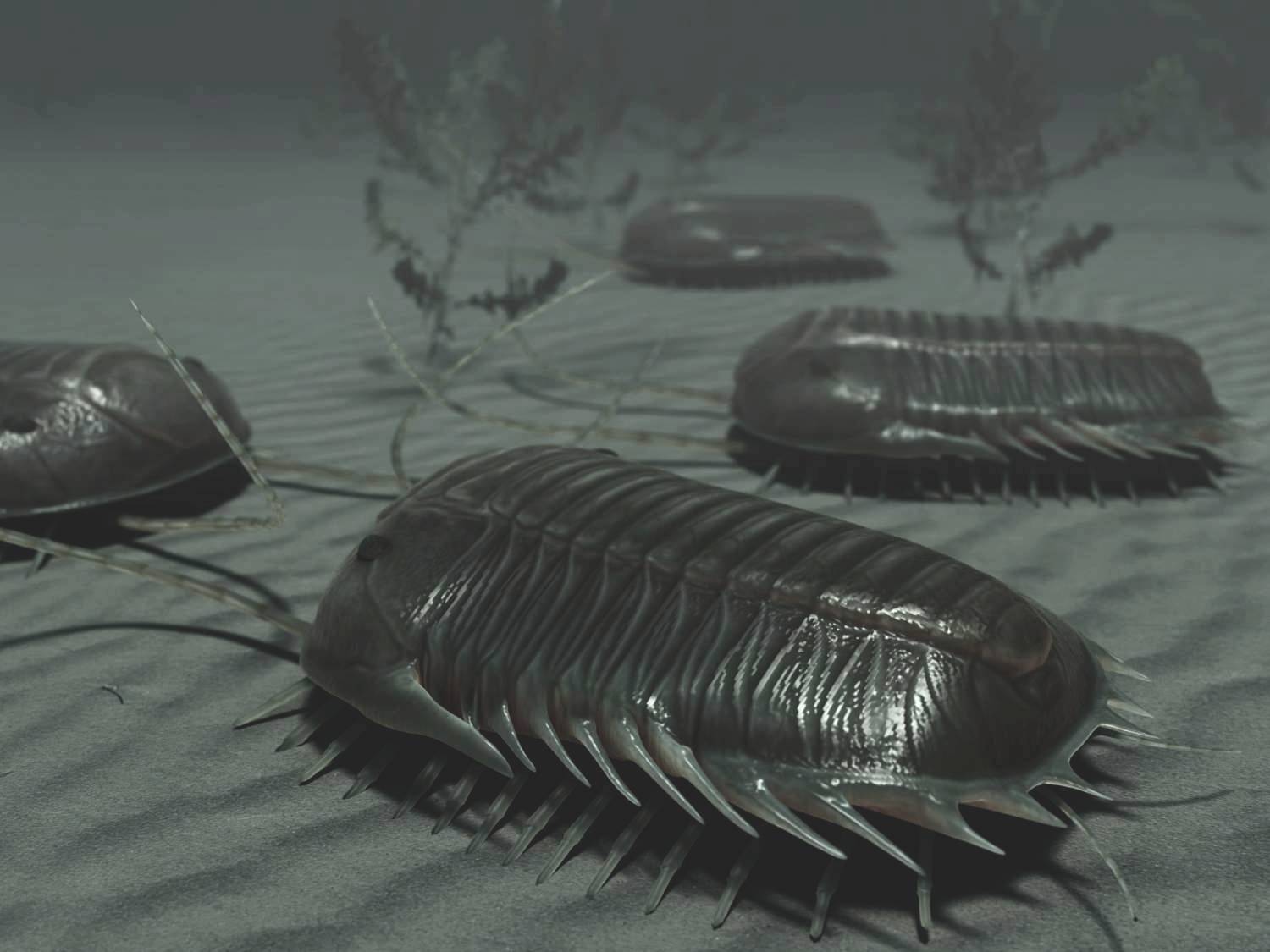 Trilobiti jako skupina postižená vymíráním na konci devonu a ztrátou dominance.