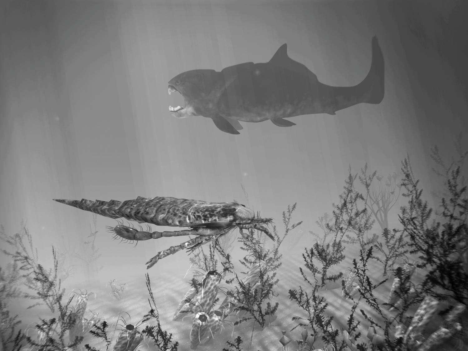 Kyjonožec v popředí a predátor Dunkleosteus v pozadí, černobílá scéna z devonského vymírání.
