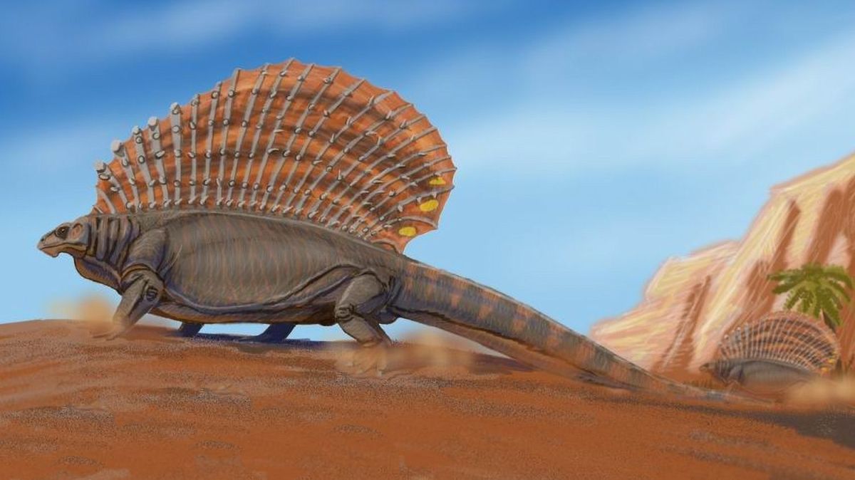 Edaphosaurus s vysokou hřbetní plachtou v krajině pozdního karbonu a permu.