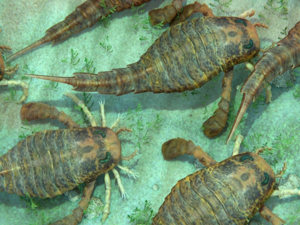 kyjonozci-urypterids-ordovik