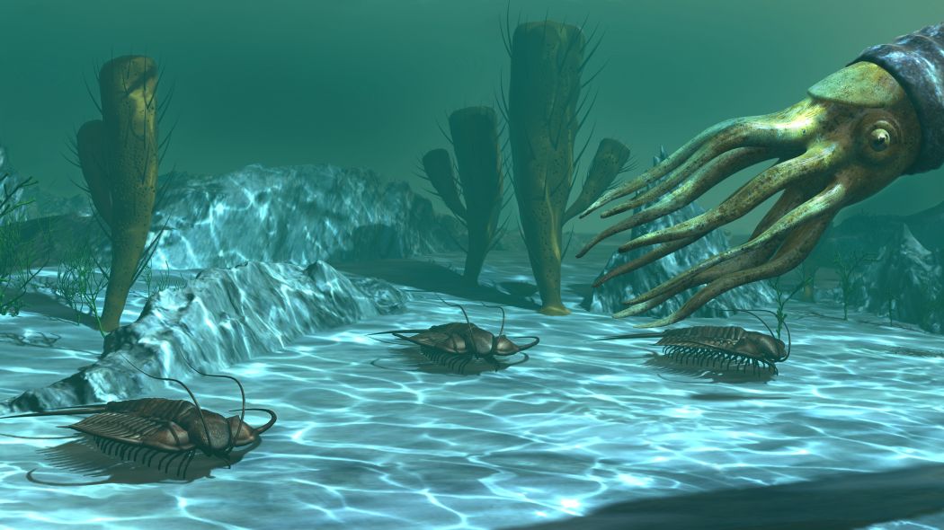 trilobiti-ordovik