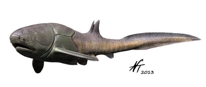 Entelognathus_Nobu-tamura-silur