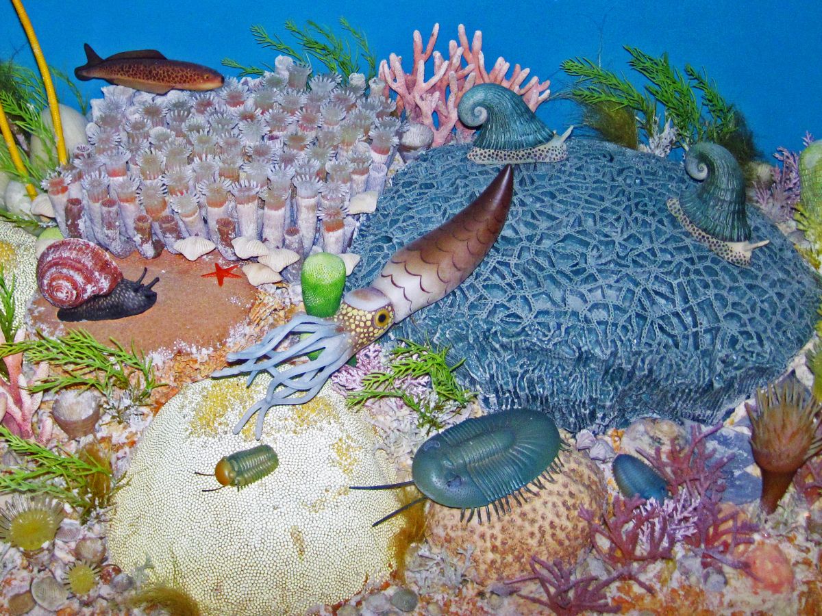 Dioráma silurského mořského dna s hlavonožci, trilobity, rybami a bohatou faunou.