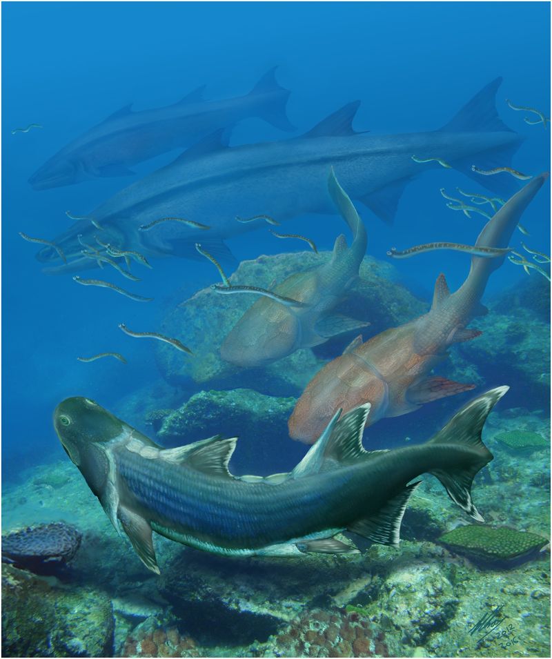 rekonstrukce-zivota-silur-more