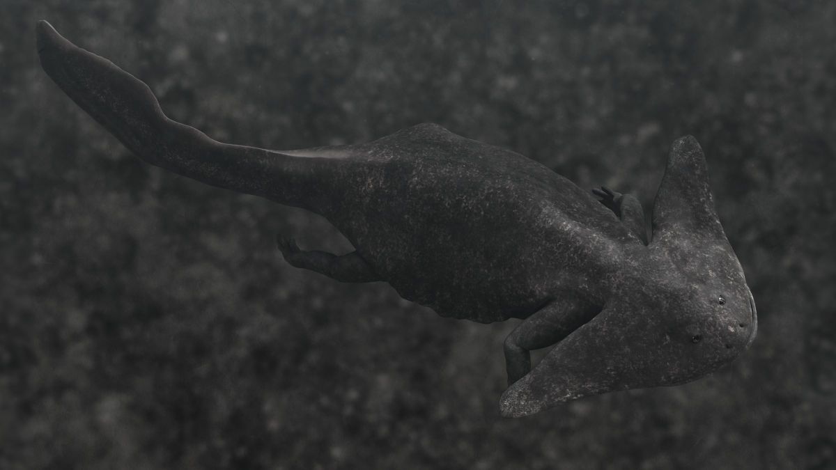 vymirani-perm-trias-diplocaulus