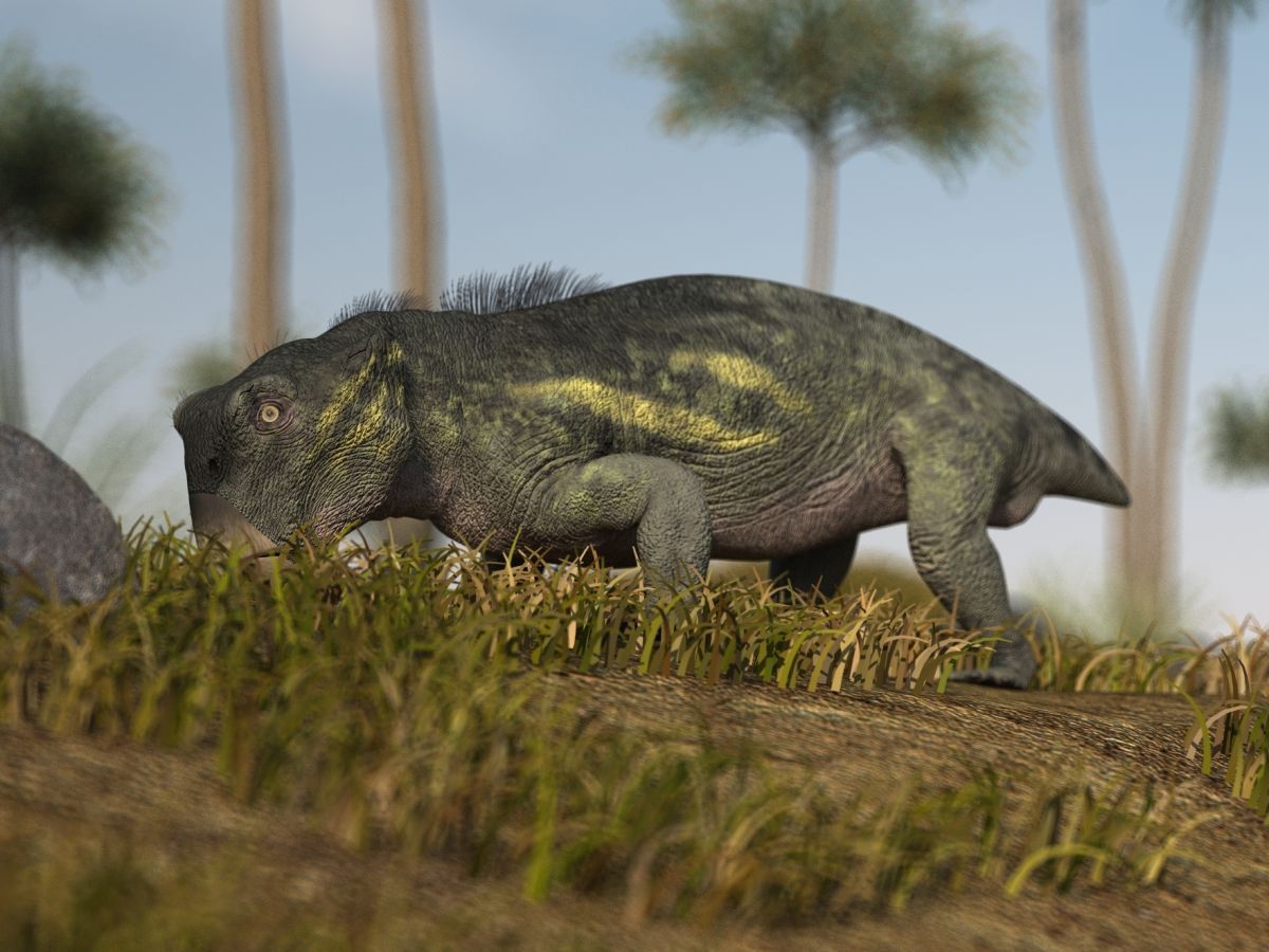 vymirani-perm-trias-lystrosaurus-peziti-do-trias
