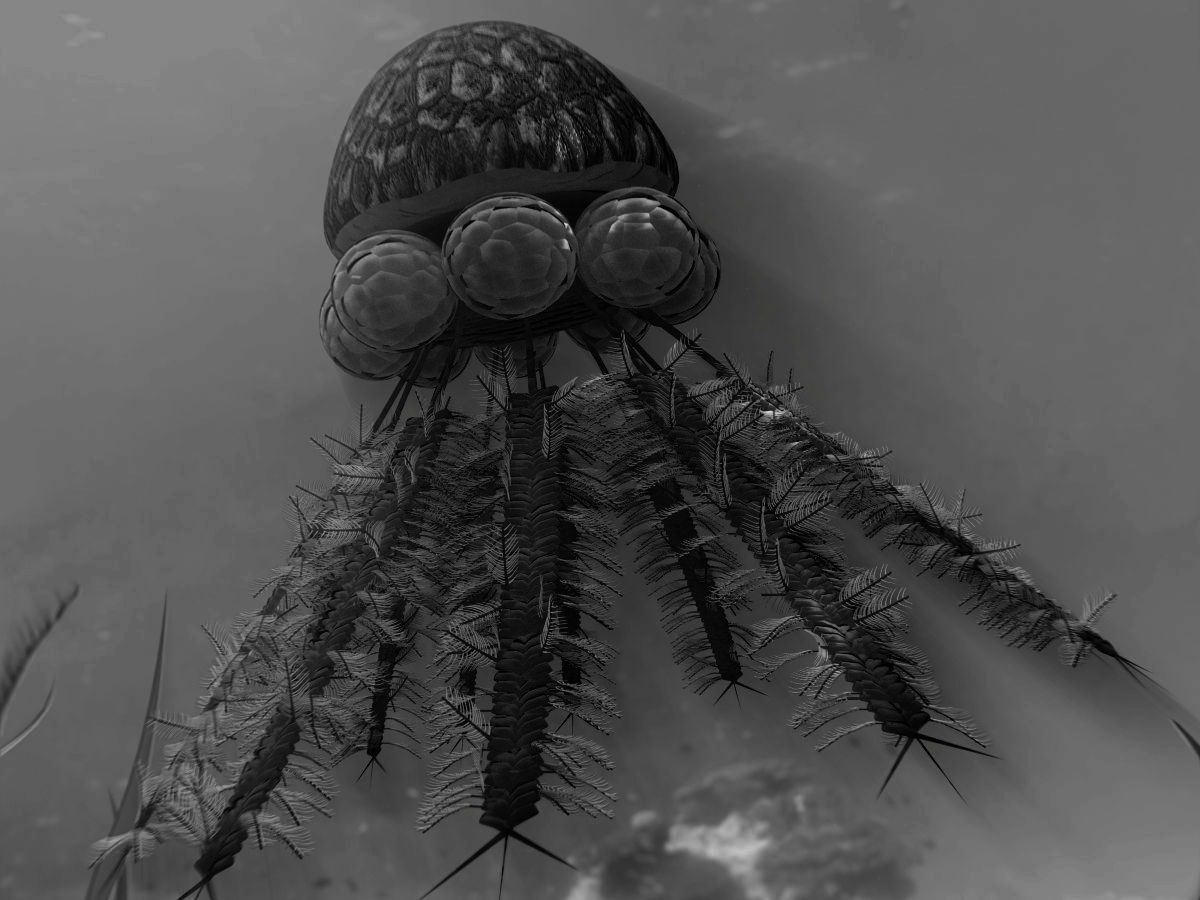 vymirani-perm-trias-raptolite-diplograptus