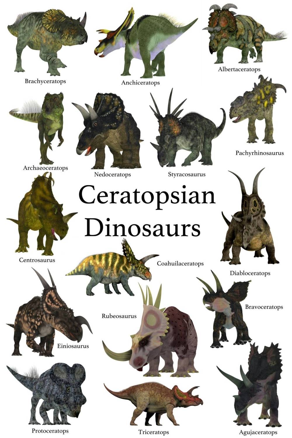 Ceratopsia-seznam-dinosauru